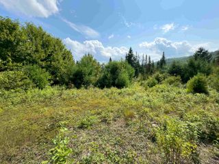 00 Scotch Hollow Road, Newbury, VT 05051