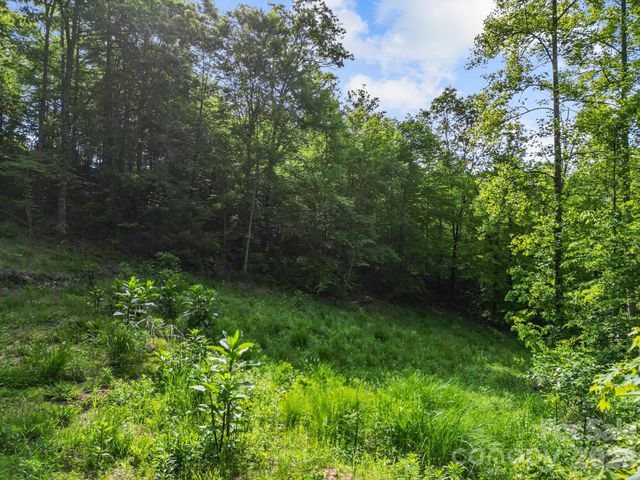 138 Whitfield Lane, Weaverville, NC 28787