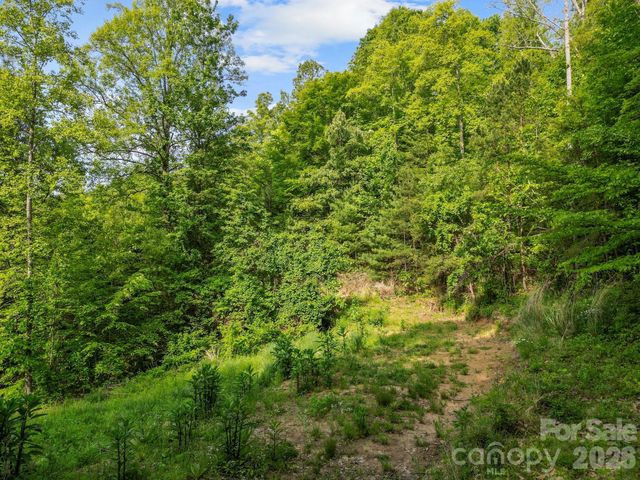 138 Whitfield Lane, Weaverville, NC 28787