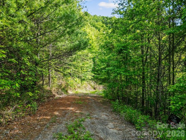 138 Whitfield Lane, Weaverville, NC 28787