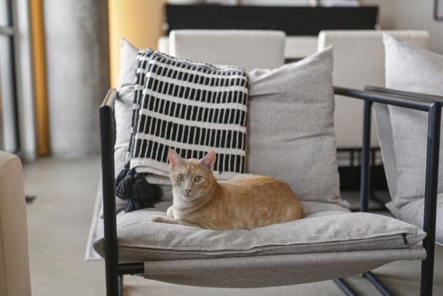 2115 Yeaman Pl Apt 405, Nashville, TN 37206