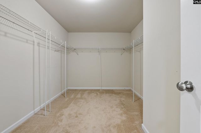 309 Tanners Mill Court, Chapin, SC 29036