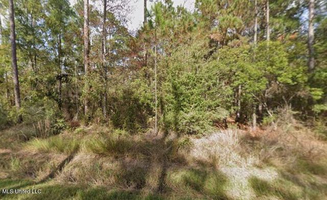 01 Dogwood Drive, Bay Saint Louis, MS 39520