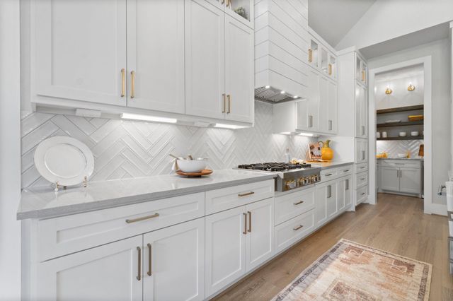 25105 Grace Vista Way, Montgomery, TX 77356