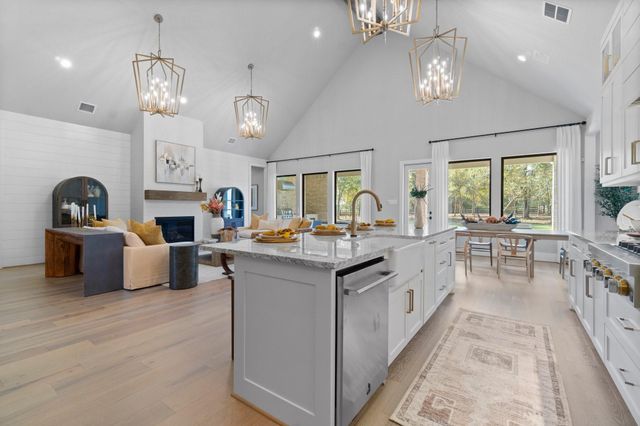 25105 Grace Vista Way, Montgomery, TX 77356