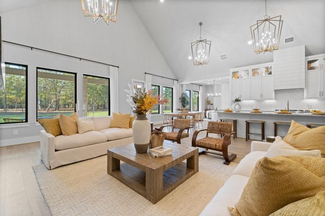 25105 Grace Vista Way, Montgomery, TX 77356