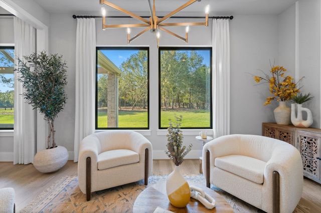 25105 Grace Vista Way, Montgomery, TX 77356