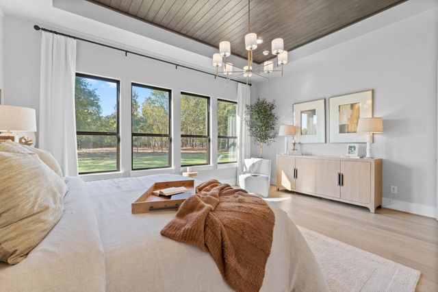 25105 Grace Vista Way, Montgomery, TX 77356