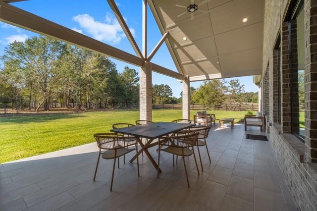 25105 Grace Vista Way, Montgomery, TX 77356