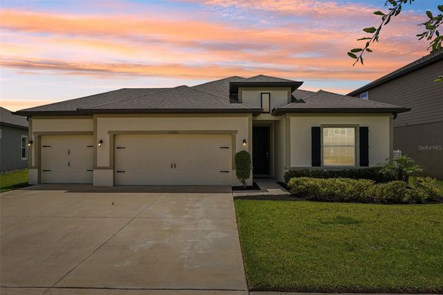 11225 JUNE BRIAR LOOP, San Antonio, FL 33576
