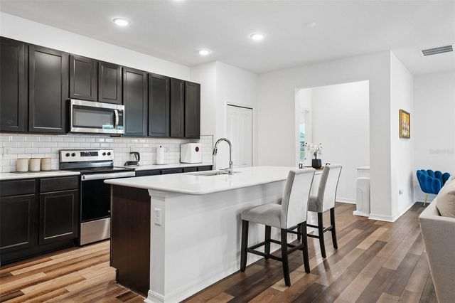 11225 JUNE BRIAR LOOP, San Antonio, FL 33576
