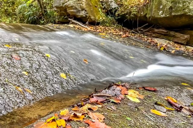 2517 Pine Cove Road, Old Fort, NC 28762