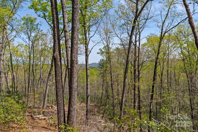 2517 Pine Cove Road, Old Fort, NC 28762