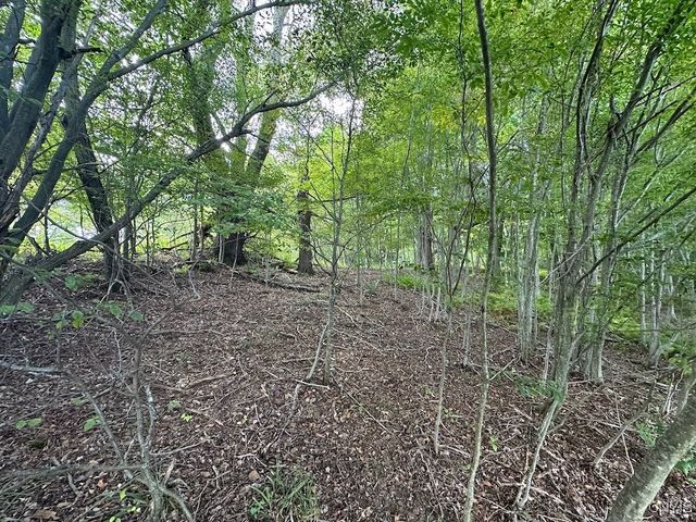 214 Olive Street, Bolivar, NY 14715