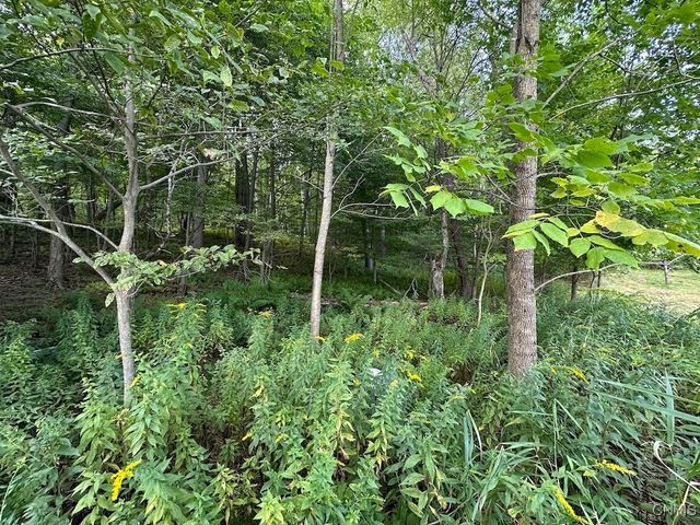 214 Olive Street, Bolivar, NY 14715