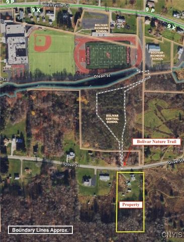 214 Olive Street, Bolivar, NY 14715