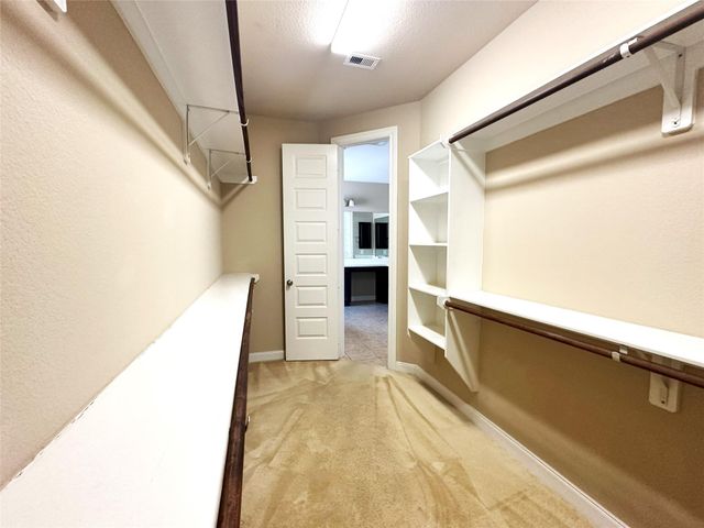 22523 Birch Ridge Meadow Drive, Spring, TX 77389