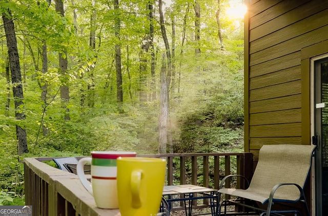 469 North Lake Drive, Ellijay, GA 30536