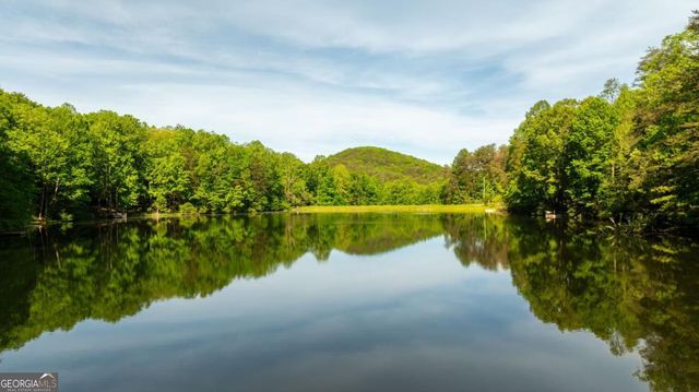 469 North Lake Drive, Ellijay, GA 30536