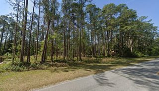 243 & 245 Georgetown Denver Rd, Georgetown, FL 32139