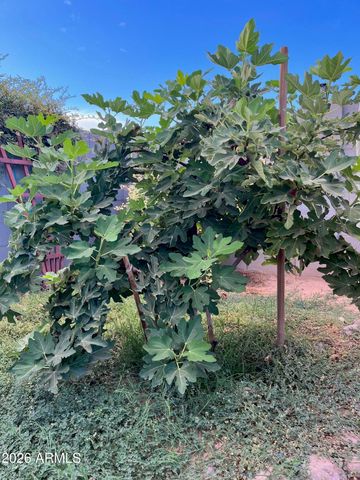 14764 S AMADO Boulevard, Arizona City, AZ 85123