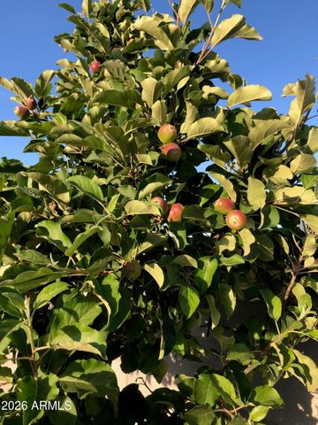 14764 S AMADO Boulevard, Arizona City, AZ 85123