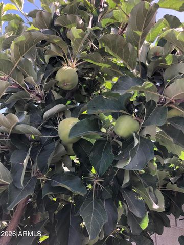 14764 S AMADO Boulevard, Arizona City, AZ 85123