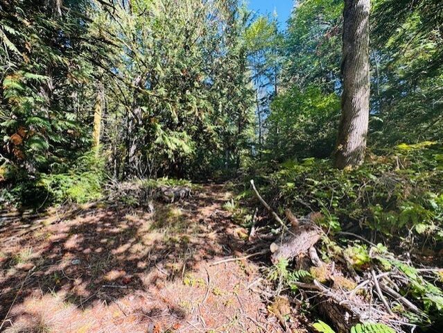 20 E Agate Road, Shelton, WA 98584