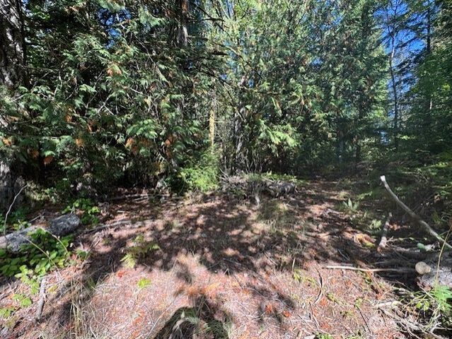 20 E Agate Road, Shelton, WA 98584