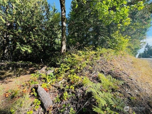 20 E Agate Road, Shelton, WA 98584