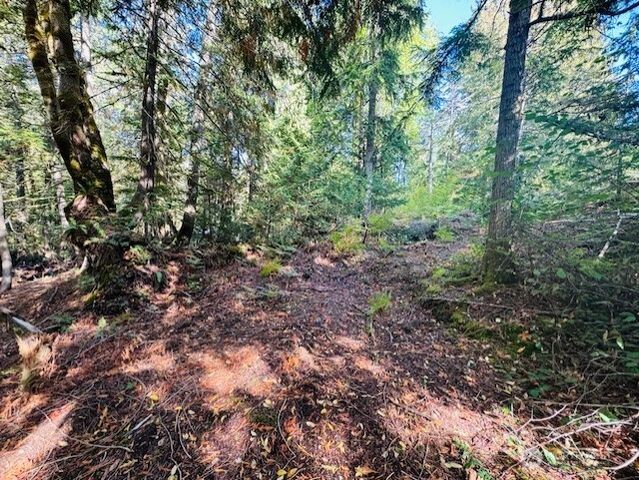 20 E Agate Road, Shelton, WA 98584