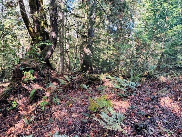 20 E Agate Road, Shelton, WA 98584