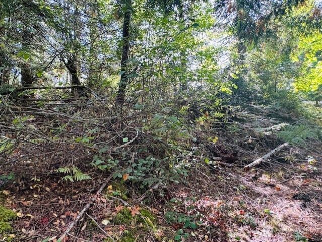 20 E Agate Road, Shelton, WA 98584