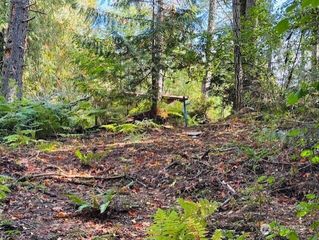 20 E Agate Road, Shelton, WA 98584