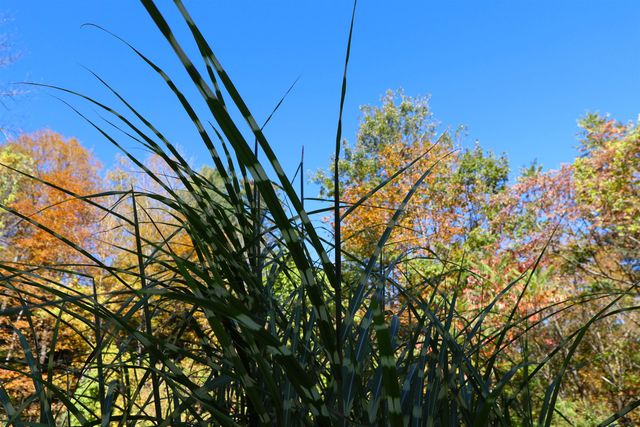 1001 Woodstock Road, Hartford, VT 05001