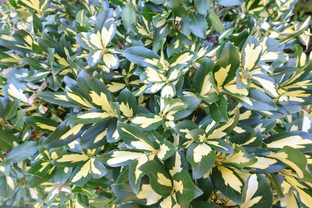 1001 Woodstock Road, Hartford, VT 05001