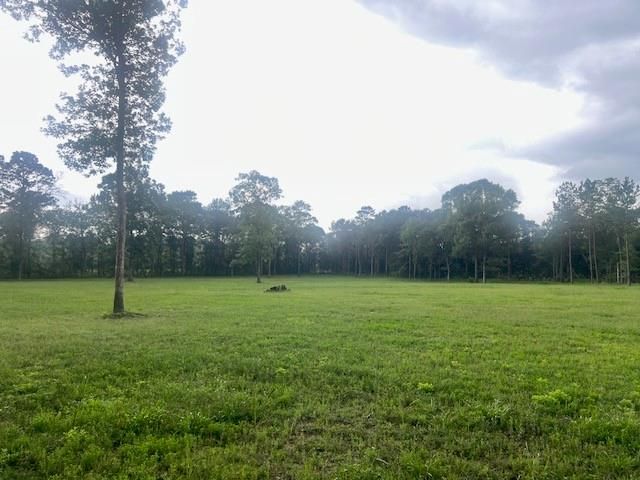 0 E Capps Rd, Livingston, TX 77351