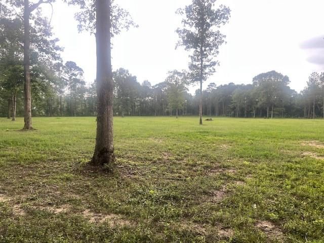0 E Capps Rd, Livingston, TX 77351