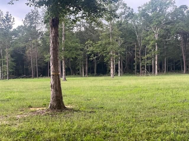 0 E Capps Rd, Livingston, TX 77351