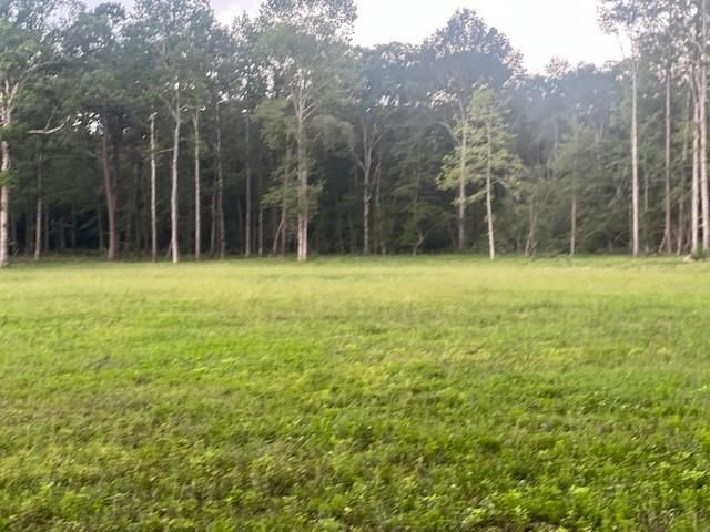 0 E Capps Rd, Livingston, TX 77351