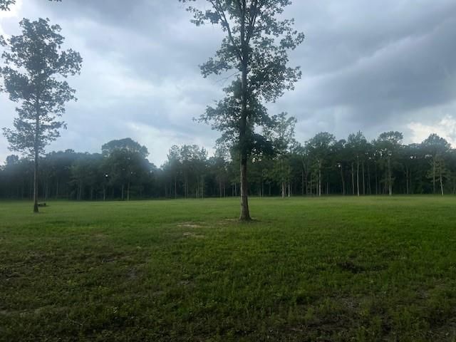 0 E Capps Rd, Livingston, TX 77351