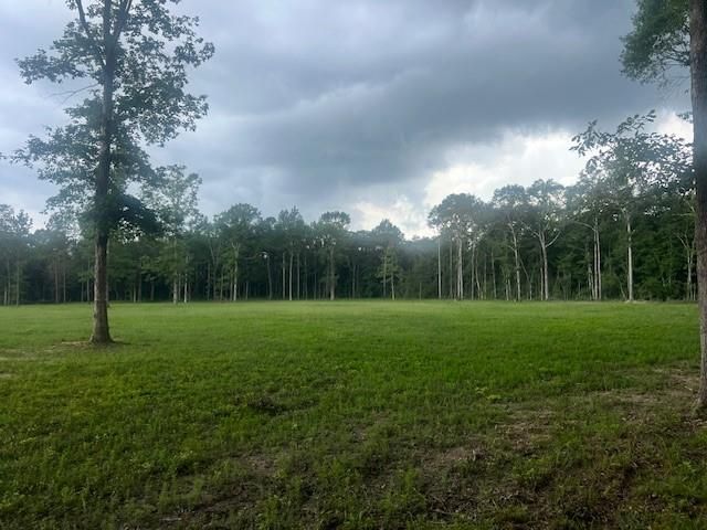 0 E Capps Rd, Livingston, TX 77351