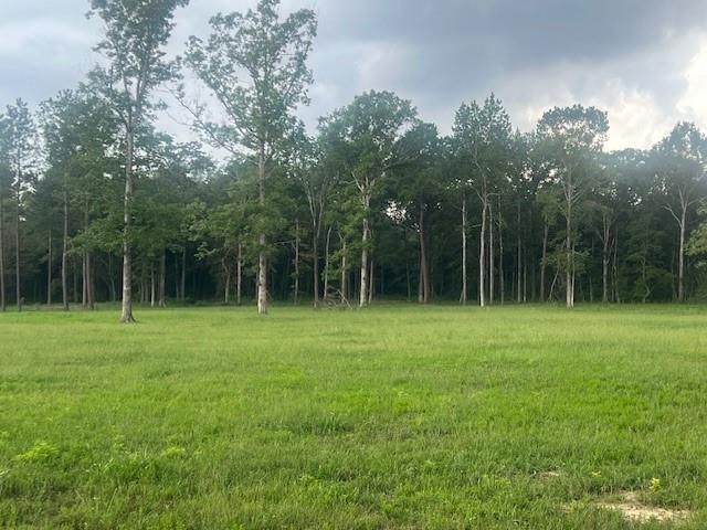 0 E Capps Rd, Livingston, TX 77351