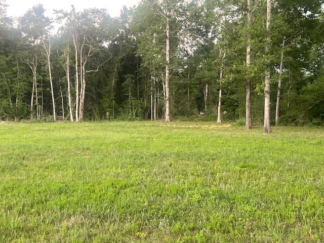 0 E Capps Rd, Livingston, TX 77351