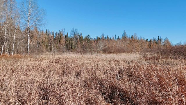 10478 Leander Road, Angora, MN 55703