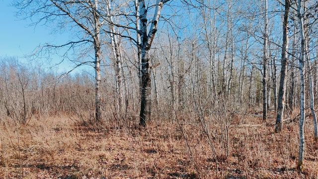 10478 Leander Road, Angora, MN 55703