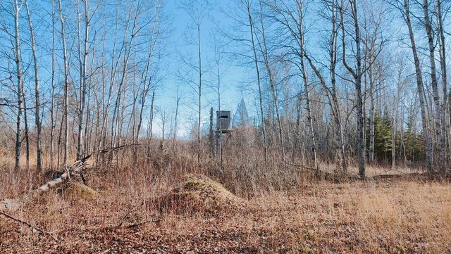 10478 Leander Road, Angora, MN 55703