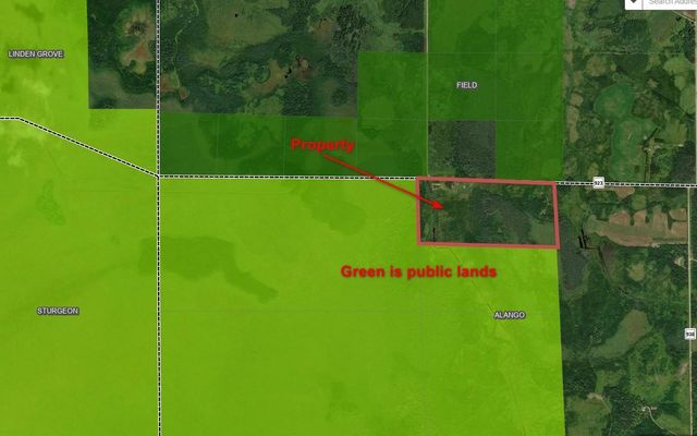 10478 Leander Road, Angora, MN 55703