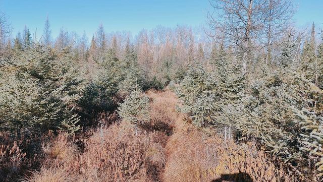 10478 Leander Road, Angora, MN 55703