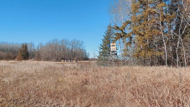 10478 Leander Road, Angora, MN 55703